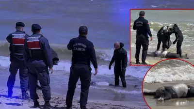 Arnavutköy sahilinde erkek cesedi bulundu