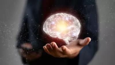 Beyin Sağlığını Koruyan 11 Süper Besin Açıklandı: Bilim İnsanları Açıkladı