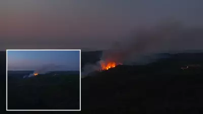 Beykoz'da orman yangını: Alevler yeniden yükseldi, ekipler müdahale ediyor