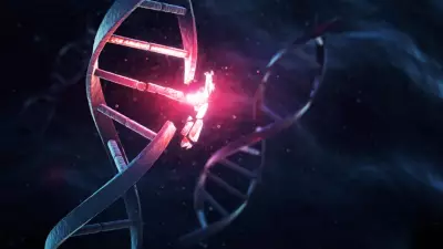 Bilim Dünyasında Çığır Açan Keşif: 'Ölümün Gizli Ayak İzi' Ortaya Çıkarıldı