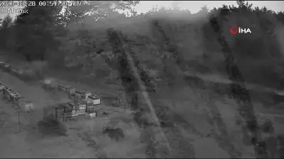 Bursa'da Ayı Ailesi Arı Kovanlarına Saldırdı: Güvenlik Kameralarına Yansıyan Görüntüler