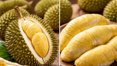Dünyada Kamusal Alana Girişi Yasaklı Durian Meyvesinin Gizemi