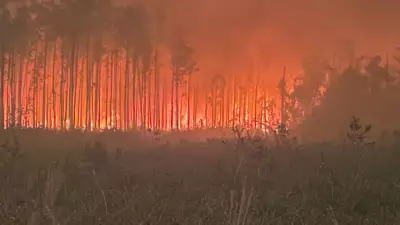Georgia'da folyo balon yangını: Onlarca ev kül oldu