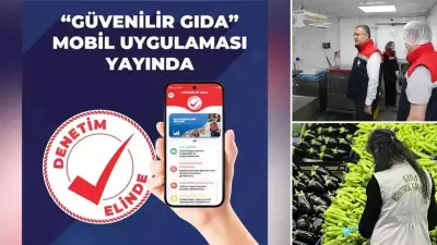 Güvenilir Gıda Uygulaması ile Denetimler Artık Cebinizde: Samsun'da İlk Mobil Şikayet Alındı