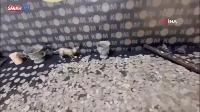 Hatay'da Tarihi Eser Kaçakçılarına Büyük Darbe: 13 Bin Parça Ele Geçirildi