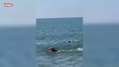 Hülya Avşar tenis maçı öncesi havuza girdi