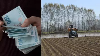 Çiftçilere 350 Milyon 968 Bin Lira Tarımsal Destek Ödemesi