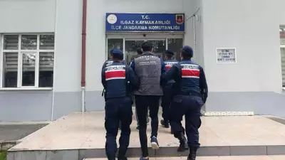 Ilgaz'da mandıradan hayvan çalan 2 şüpheli tutuklandı