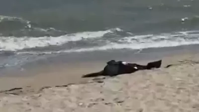 Karaburun Sahili'nde Erkek Cesedi Bulundu