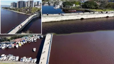 Küçükçekmece Gölü kırmızıya döndü, endişe yarattı