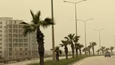 Çöl Tozu Adana ve Osmaniye'de Yaşamı Felç Etti: Astım Hastaları Zorlandı