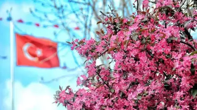 Ülkemize Gerçekten Bahar Geldi: Bir Haftada Müjdeli Haberler