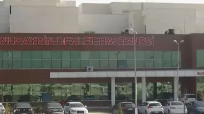 Mardin'de Mayın Patlaması: İki Kardeş Yaralandı, Hayati Tehlike Yok