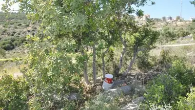 Mersin'de Bahçede Toprağa Gömülü El Bombası Bulundu