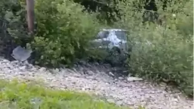 Mersin'de Trafik Kazası: Otomobil Şarampole Devrildi, 1 Kişi Hayatını Kaybetti