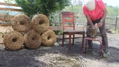 Ordu'da Dikenli Sarmaşıktan 2 Bin TL'lik Sepetler: 45 Yıllık Zanaat