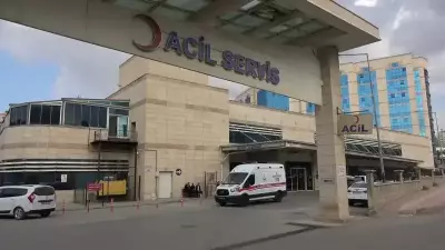 Siirt'te Ağaç Budarken Yaralanan Yaşlı Adam Ambulansta Hayatını Kaybetti