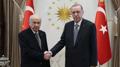 Son dakika: Cumhurbaşkanı Erdoğan, MHP lideri Bahçeli'yi kabul edecek