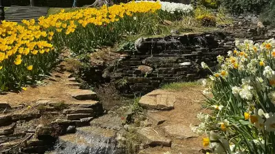 İstanbul Lale Festivali 2026: Tarihleri ve Yapılacağı Parklar Açıklandı