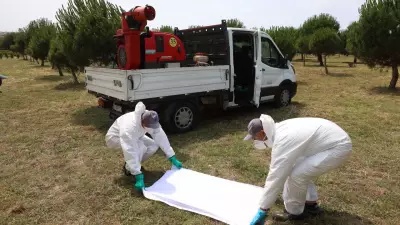 İstanbul'da Sivrisinekle Mücadele: 264 Bin Üreme Noktası Kontrol Altında
