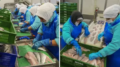 Türk Su Ürünleri İhracatı İlk Çeyrekte Yüzde 24 Arttı, 552 Milyon Dolar Gelir Elde Edildi