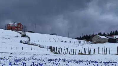 Türkiye'de Bahar Hayali Karda Kaldı: Birçok İlde Kar Yağışı Yeniden Kışı Getirdi