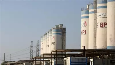 UAEA, Buşehr Nükleer Santrali'ne Yakın Saldırıları Doğruladı: 75 Metre Mesafede Vuruldu