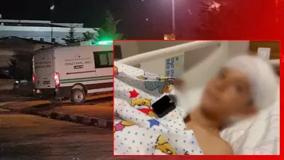 Van'da sokak köpeği dehşeti: Küçük Hamza hayatını kaybetti, Ayaz anlattı