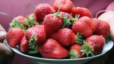 Yıllardır yanlış biliyormuşuz! Uzmanlar uyardı: Çileği böyle yıkamak zehir etkisi yaratabilir!