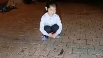 Yolda Yürürken Karşısına Çıktı: Türk Semenderi Cep Telefonuyla Kaydedildi