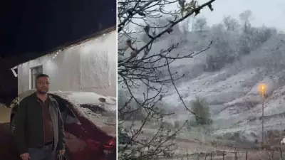 Zile'de Nisan Karı Meyve Ağaçlarını Beyaza Bürüdü, Üreticiler Endişeli