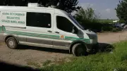 Adana Ceyhan'da ormanlık alanda parçalanmış erkek cesedi bulundu