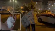 Adıyaman Besni'de fındık büyüklüğünde dolu yağdı, cadde ve sokaklar göle döndü