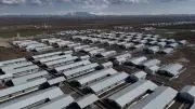 Ağrı'da 307 Ahırlık Modern Hayvancılık Üssünde Son Aşamaya Gelindi
