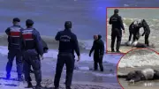 Arnavutköy sahilinde erkek cesedi bulundu