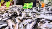 Balık Tezgahlarında Son Demler: Fiyatlar ve Sezon Değerlendirmesi