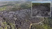Beykoz'da 9 saat süren yangın kontrol altına alındı, 14 hektar zarar gördü