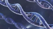 Bilim Dünyasında DNA Devrimi: Kalıpsız DNA Üretimi Keşfedildi