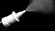 Bilim İnsanları Burun Spreyiyle Hafızayı Geri Getirmeyi Başardı