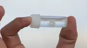 Dünyanın En Acı Sokması: Bedeni ve Zihni Aynı Anda Yıkan Tek Canlı