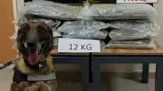 Düzce'de Büyük Uyuşturucu Operasyonu: İstanbul'dan Ankara'ya 12 Kilo Skunk Ele Geçirildi