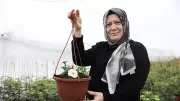 Ev Hanımından Başarı Hikayesi: Belediye Desteğiyle Sera Kurdu, Aylık 100 Bin TL Kazanıyor