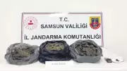 Kaçakçılara Nokta Operasyonu: 12 Şüpheli Gözaltına Alındı