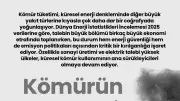 Kömürün Yarısını Çin Yakıyor: Küresel Tüketimde Tek Ülke Hakimiyeti
