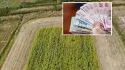 Kırsal Kalkınmada Dev Yatırım: 327 Milyar Lira ve 286 Bin İstihdam