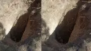 Mezarlıkta altın aramak için çukur kazdılar! Şoke eden manzara