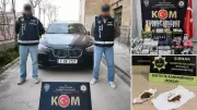 Şırnak'ta uyuşturucu ve kaçakçılık operasyonlarında 610 milyon liralık vurgun