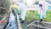 Turizmde Sivrisineğe Geçit Yok: 9 İlde Kapsamlı Temizlik Seferberliği