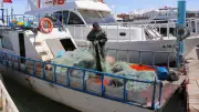 Van Gölü'nde İnci Kefali İçin Av Yasağı Yarın Başlıyor: 90 Günlük Üreme Dönemi