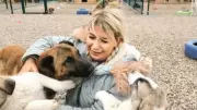 Yaşama Tutunan Patiler Derneği Kira Borcu Nedeniyle Tahliye Edildi